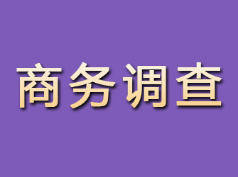 临川商务调查